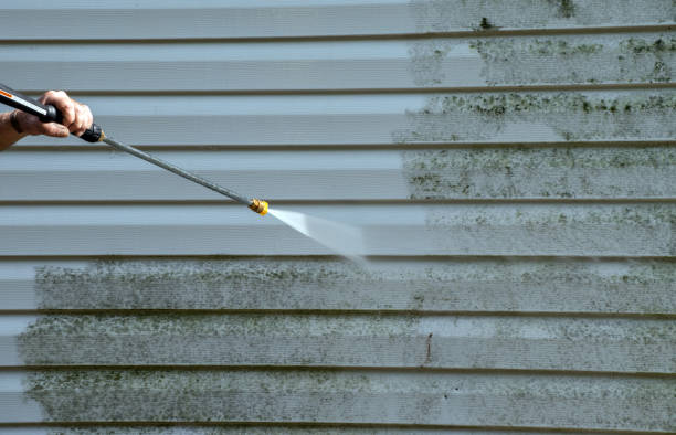 Animal Enclosure Cleaning in Lisbon, IA