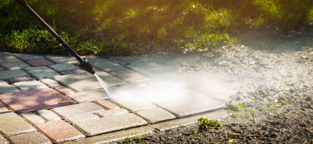 Best Fence Cleaning  in Lisbon, IA